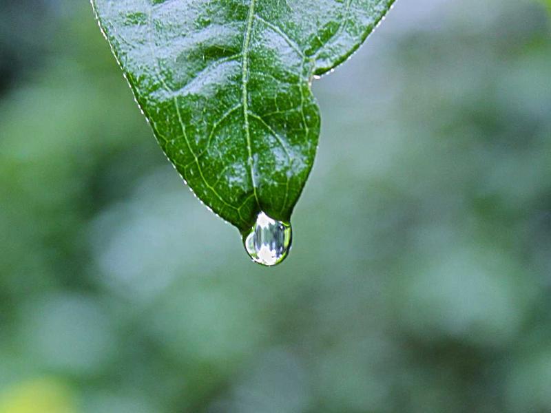 宿醉解药<br>qyw0fsis.cn 番茄汁加盐方